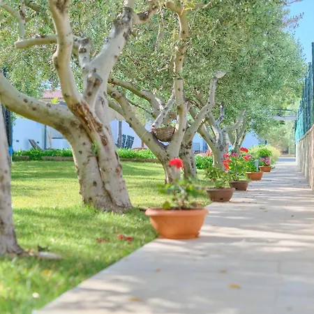 Beachfront Mihovil With Direct Access * Kastel Stafilic